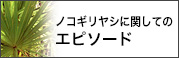 ノコギリヤシに関してのエピソード